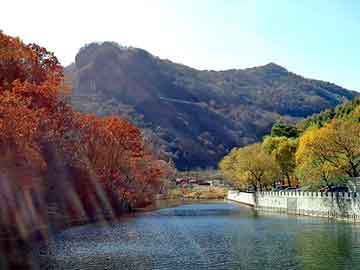 管家婆黑白马报图库，陶冰倩